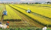 80 years of land management: Policy reforms for three agricultural areas